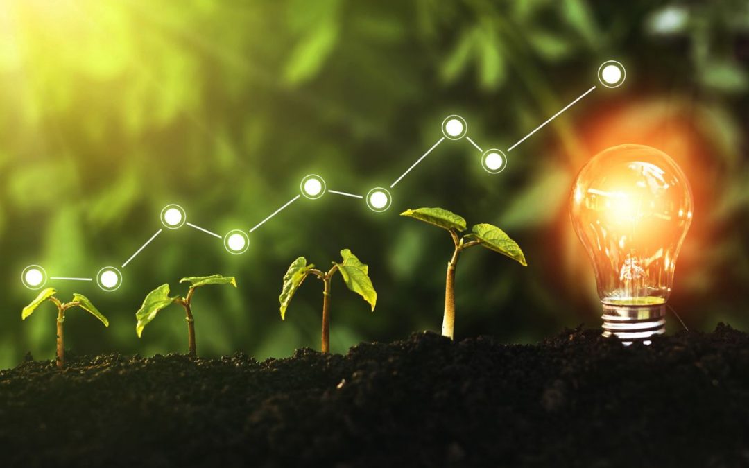 Photovoltaik, E-Autos und Co.: 31 % der deutschen Haushalte nutzen Green Tech